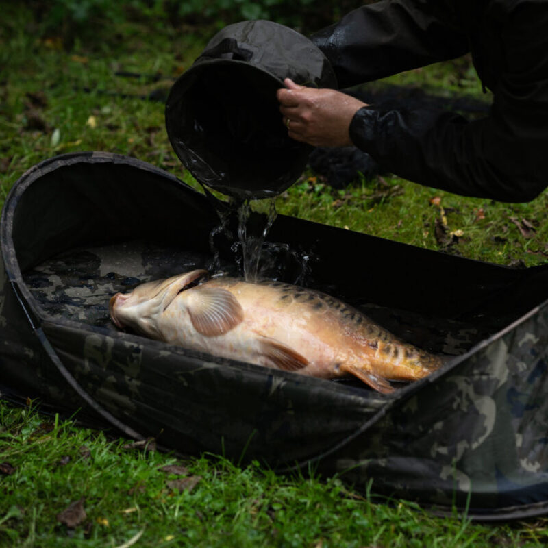 Win a Nash Carp Care Pop Up Mat (Camo) for just 59p!