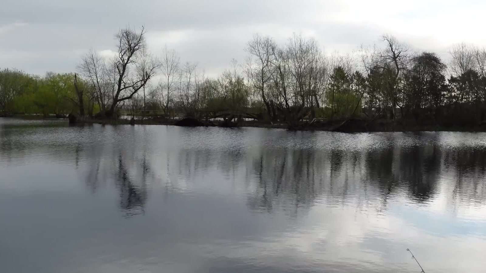 Enigma Lakes Carp Fishing: The Peg Move That Saved Wayne’s Session